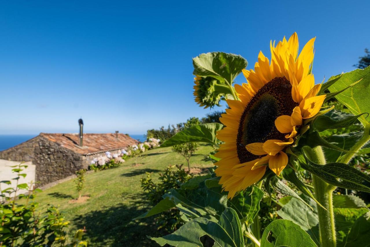 Casa Do Castanheiro - Nordeste, Acores Nordeste  Esterno foto